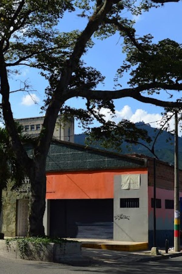 EXTERIOR ELADIO COSTADO 2010